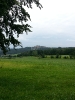 Bayer. Wald