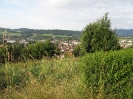 bayrischer_wald_2013_20130704_1846536973